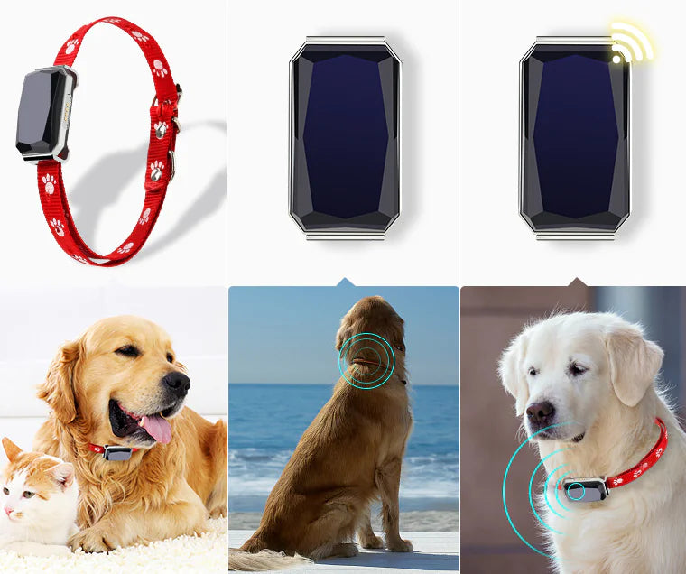 GPS Pet Tracker Collar - Real-Time Location Tracking for Dogs & Cats
