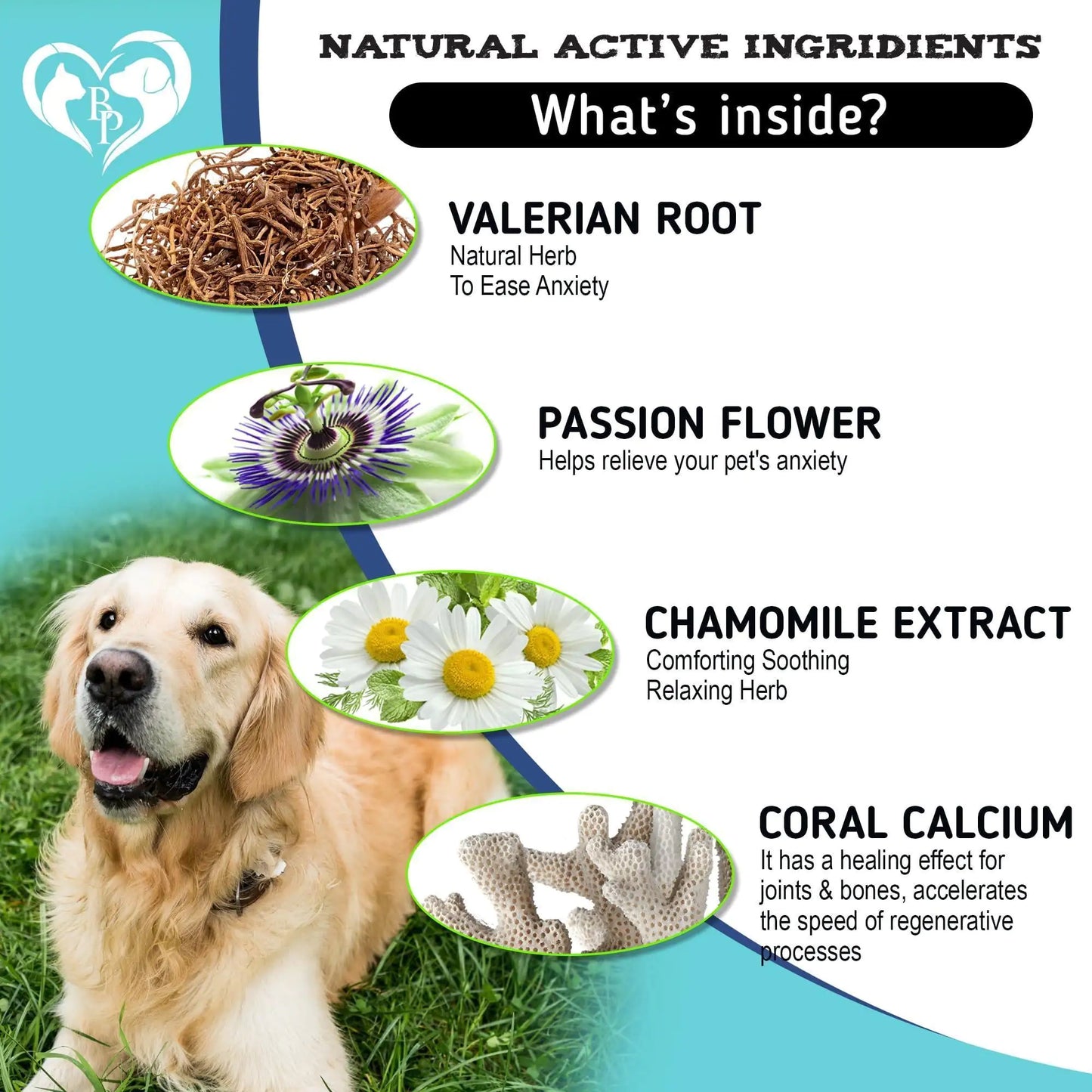 Premium Hemp Calming Chews for Dogs - Natural Anxiety Relief & Stress Support Treats